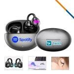 WARNER BLISTER EAR BUDS